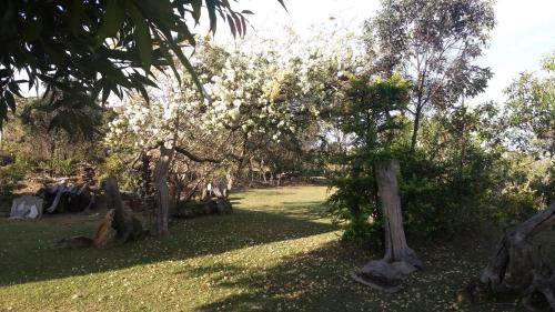 Carrancas Hotel | Pet-Friendly Pousada Sitio da Serra with Family Amenities