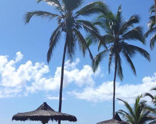 Canavieiras Hotel | Pousada Stella Maris: Oceanfront Retreat with Pool Access