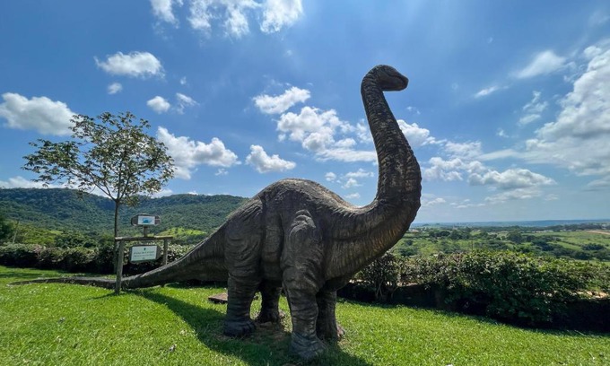 Sao Pedro Hotel | Discover Pousada Vale do Dinossauro with Oceanfront Relaxation