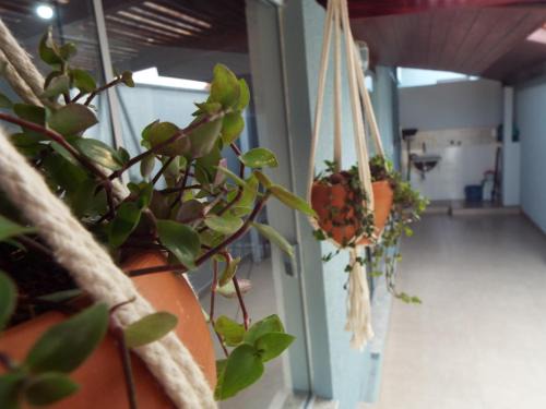 Sao Joao Batista do Gloria House | Explore Pouso Gloria: Pet-Friendly with 9.7/10 Guest Rating
