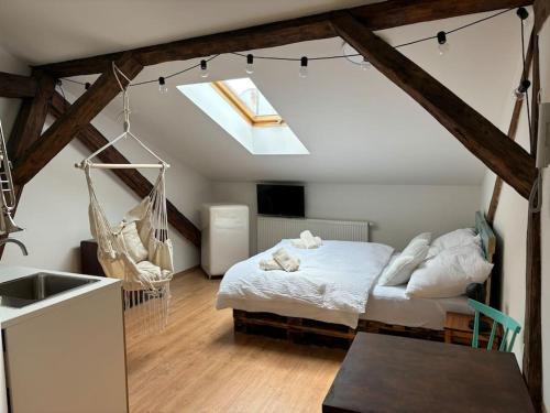 Zilina Apartment | Convenient Hotel with Parking in Historic Old Town