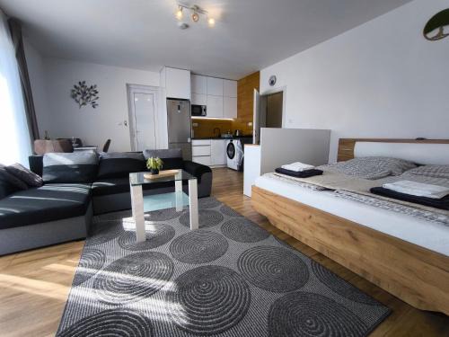 Svidnik Apartment | Premium Apartment with Private Entrance and Garage Parking