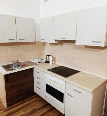 Usti nad Labem Apartment | Budget-Friendly Stay at Apartmán Čajkovského with Breakfast