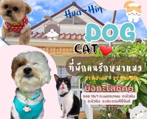 Hua Hin Resort | Pet-Friendly Retreat at Prathana Garden Beach Resort