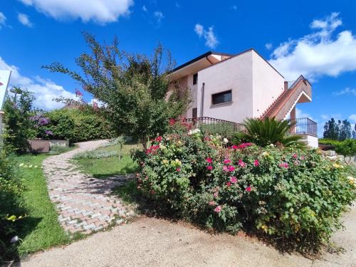 Miglianico Bed & Breakfast | Pet-Friendly Retreat at Prati di Maja B&B - Rated 9/10