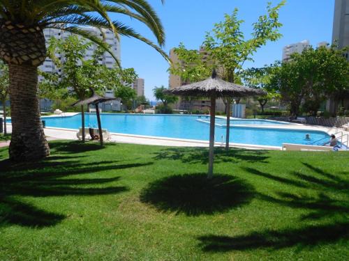 Cabo de las Huertas Apartment | Oceanfront Apartment in Alicante, Playa San Juan Awaits You