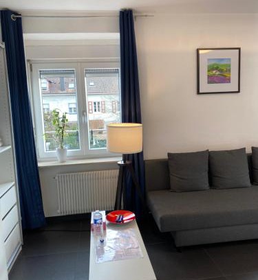 Loerrach Apartment | Budget-Friendly Stylish Room in a Private Home