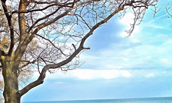 Kingsville House | Experience Premium Coach House on Lake Erie’s Shores