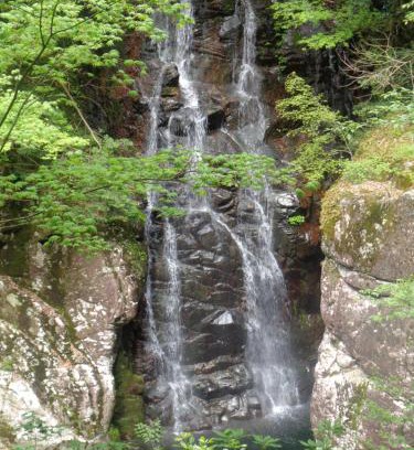 Ushiobara Onsen House | Premium Guest House Alaskan Dream