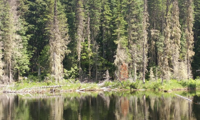 Nordman Cabin | Discover Priest Lake Retreat: Ocean Views & Family-Friendly