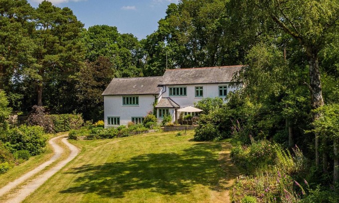 New Forest District House | Explore Primrose Spinney: Pet & Child Friendly Retreat