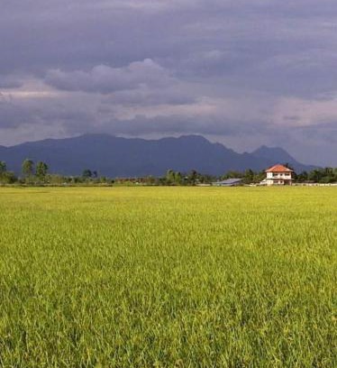 Pa Tueng House | Discover Princess's Palace: Family & Pet-Friendly Stay