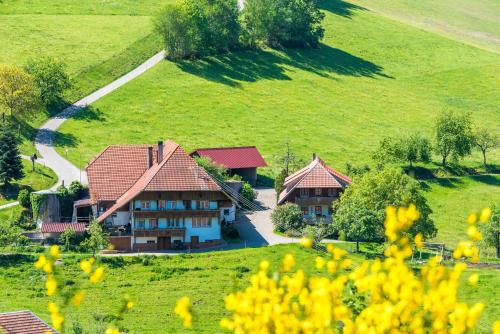 Muehlenbach Apartment | Prinzbachhof: Family-Friendly Escape with 9.6/10 Rating