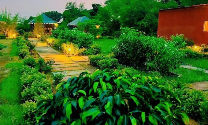 Sawai Madhopur Hotel | Pritam Palace