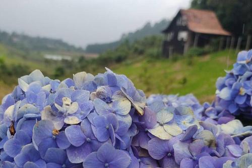Anitapolis Ski Chalet | Cozy Retreat: Pet-Friendly Hotel with Comfort and Simplicity