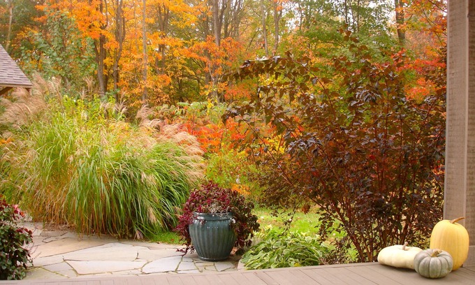 South Haven House | Ideal Retreat on 20 Acres by Lake Michigan with Fishing Pond