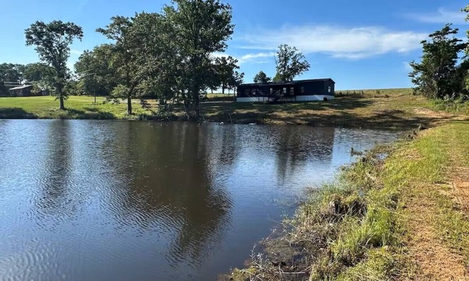 Clopton Cabin | Private Cabin, 3 Bed Rooms, 2 Bath, nestled in the woods on a spring fed pond!