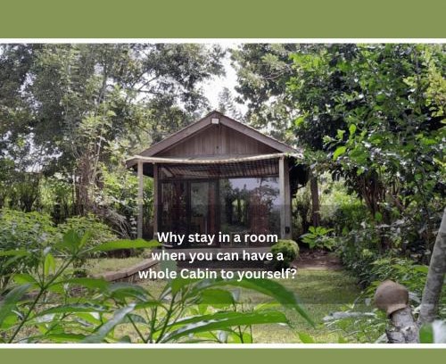 Sigiriya Apartment | Serene Private Cabin with Kitchen & Guest Rated 10/10