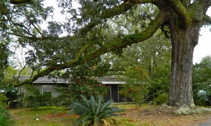 Ocean Springs House | Cozy Private Cottage in Historic Ocean Springs with Pool