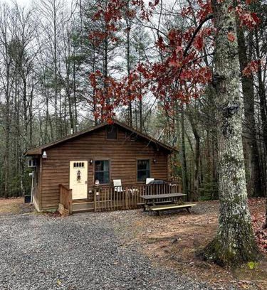 Unaka House | Idyllic Cabin Retreat in the Woods - Guest Rated 9.8/10