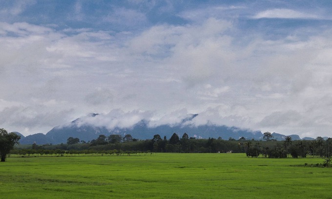 Khuan Khanun House | Cozy Family Getaway with Scenic Paddy Field Views