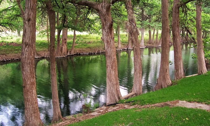 Leakey House | Spacious Private Home by Frio River with Child-Friendly Amenities