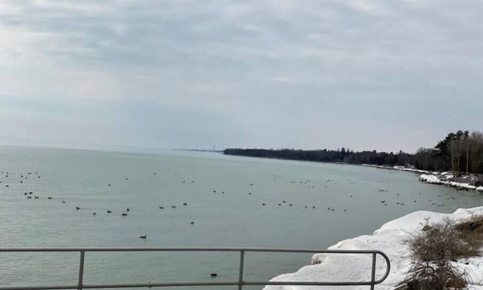 Cobourg Apartment | Eco-Friendly Lakeside Loft with Patio and Family Comfort