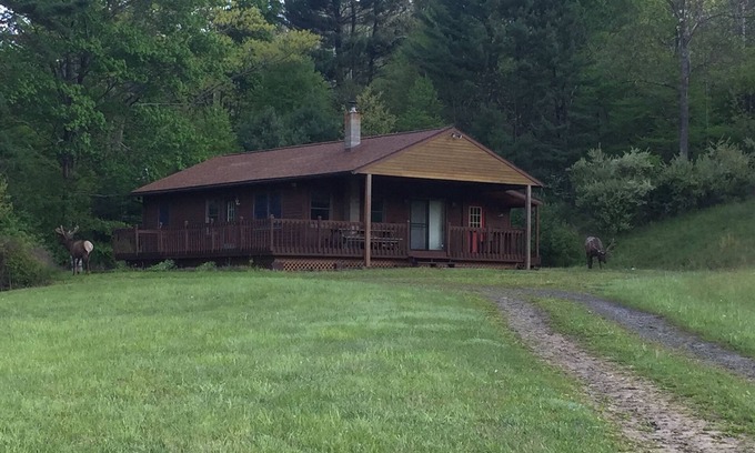 Driftwood Cabin | Idyllic Private Retreat in the Heart of Elk Country
