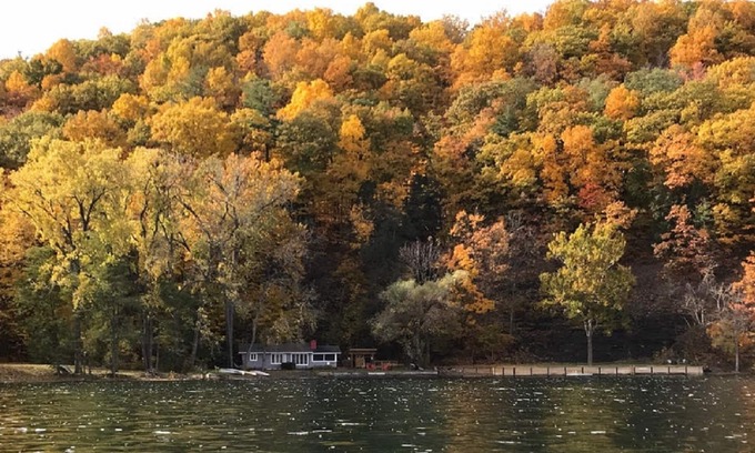Naples Cottage | Unique Lakefront Cottage at Heron Cove Sanctuary - 10/10 Rated