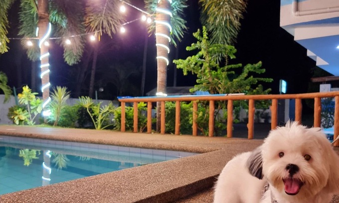 Panglao House | Private Villa w/pool,wifi,videoke & kitchen access