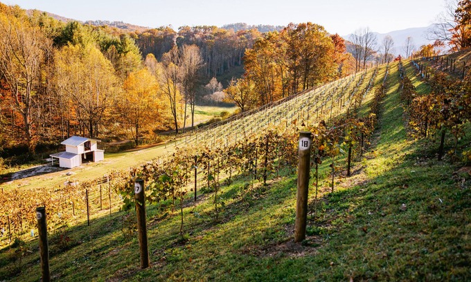 Burnsville House | Idyllic Private Vineyard Escape with Family-Friendly Amenities