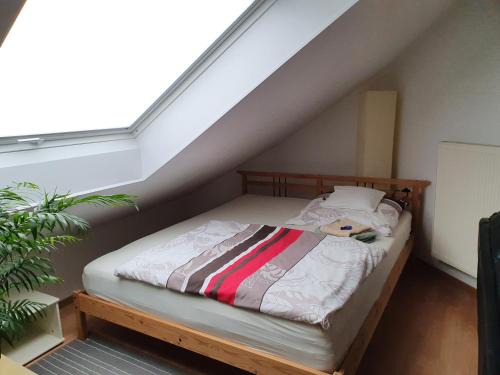 Unterallgau Apartment | Privatzimmer mit Balkon im schönen Allgäu