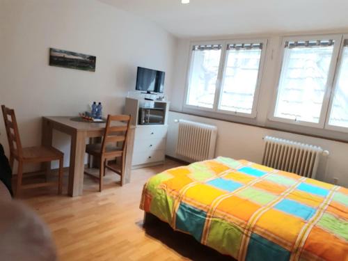Fribourg Apartment | Cozy Studio Steps from the Cathedral - Rated 9.3/10