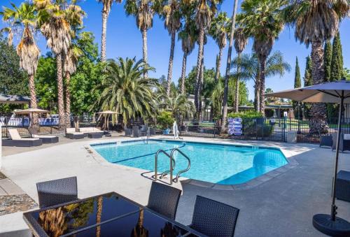 Davis Hotel | Relax at Prodigy Hotel: Oceanfront Views & Family Amenities