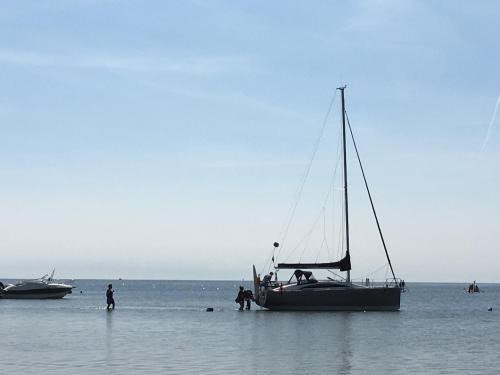 Chalupy Other | Pet-Friendly Camping at Polaris on the Hel Peninsula