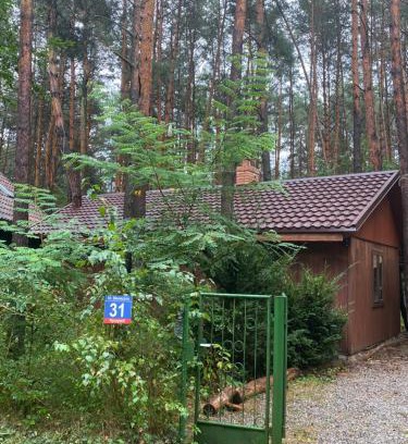 Kozienice House | Cozy Forest Retreat by the River - Guest Rated 10/10