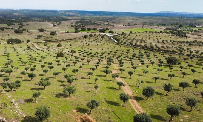 Castelo de Vide Cottage | Casa da Meada - Herdade Santo Isidro | Santo Isidro 6 | Alentejo
