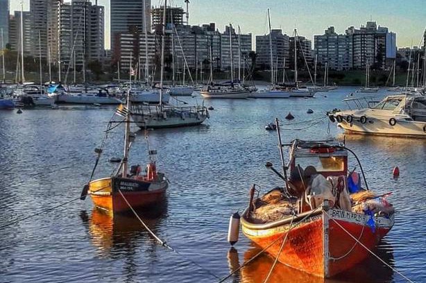 Buceo House | Pet-Friendly Stay in Puerto del Buceo - Rated 10/10
