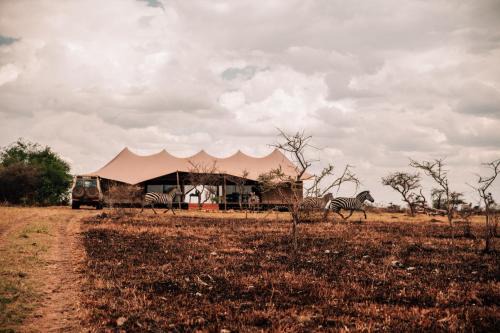 Serengeti National Park Cabin | Pumba Luxury Camp - Serengeti