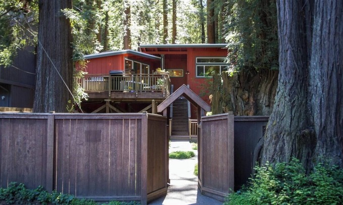 Guerneville Cottage | Pet-Friendly Pumpkin House with High Guest Ratings