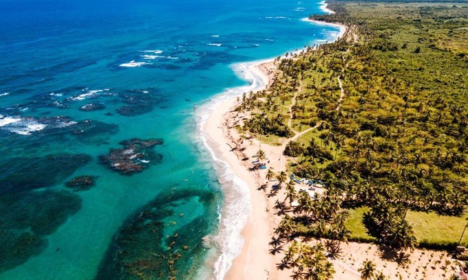 Higuey Cabin | Beachfront Ecolodge at Lavacama: Pet Friendly Retreat