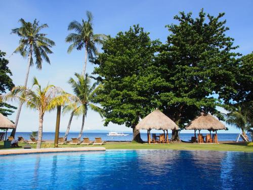 Dauin Resort | Pura Vida Beach & Dive Resort: 9/10 Rated with Ocean View
