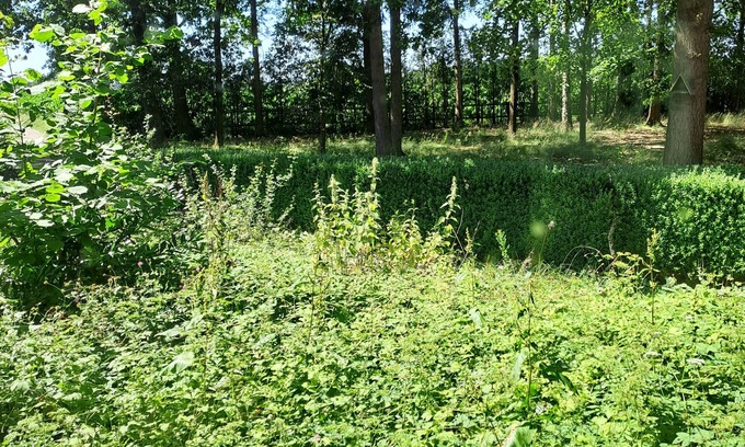Schneverdingen Apartment | Experience Nature at Our Horse Farm with Spa & Hot Tub