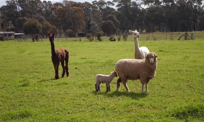 Amphitheatre Other | Experience Pyrenees Farm Stay: Pet-Friendly Bed and Breakfast