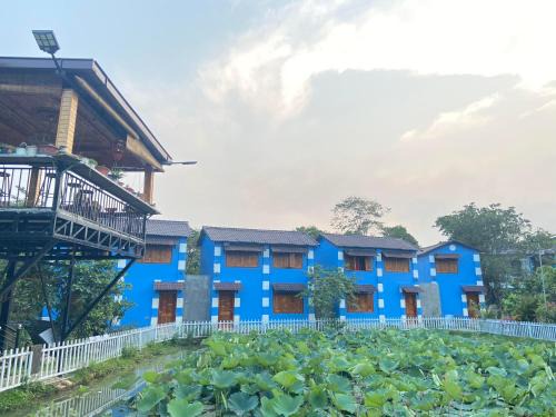 Dam Rong Bed & Breakfast | Cozy Quỳnh Như Homestay: Family and Pet-Friendly Retreat
