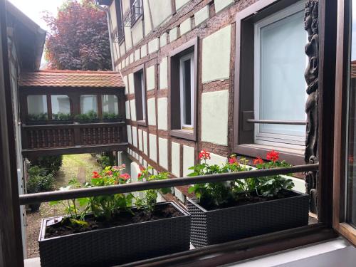 Krutenau Apartment | Idyllic Quai des Pêcheurs - Cathedral Views & Family-Friendly