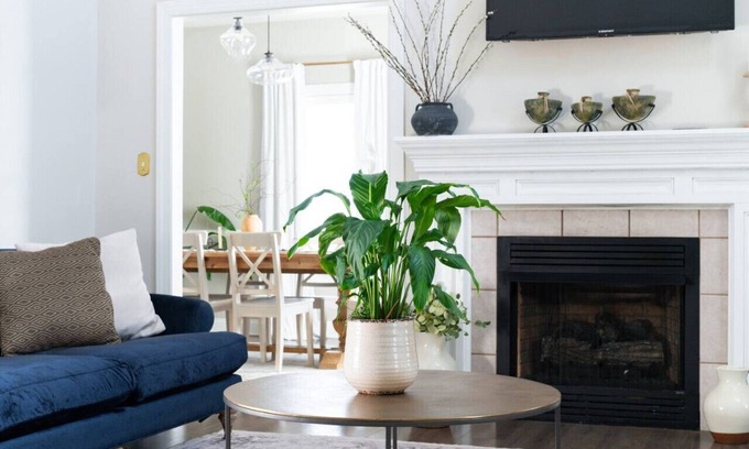 Lynchburg House | Cozy Retreat Near LU | Pet-Friendly Stay at The Wyndsong