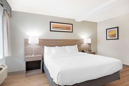 Idaho Falls Hotel | Pet-Friendly Quality Inn Idaho Falls with Pool Access