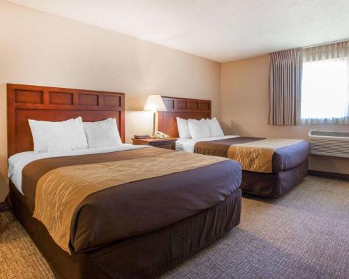 Totem Lake Hotel | Cozy Comfort Inn Kirkland: Pet-Friendly with Pool & Hot Tub