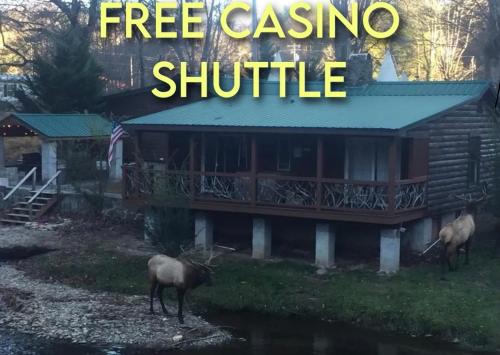 Cherokee Hotel | Cozy Qualla Cabins and Motel Cherokee Near Casino Attractions